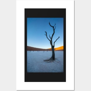 Tree on the salt pan. Posters and Art